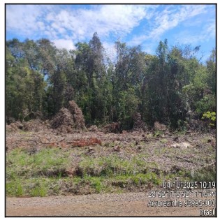 Terreno - Venda, Centro, ARVOREZINHA, RS