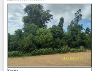 Imagem do imóvel TE50992