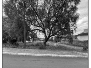 Imagem do imóvel TE83027