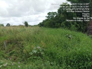 Imagem do imóvel TE60605